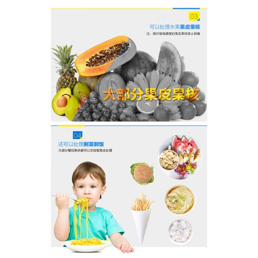 ISE original garbage disposer food grinder E300 E200 national standard