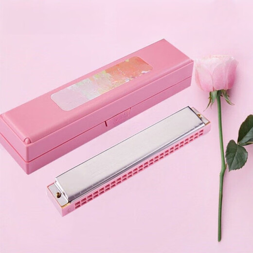 Musikinstrument der Marke Si Jie, Mundharmonika, 24 Löcher, C-Taste, Einzelton-Mundharmonika für Männer und Frauen, Fortgeschrittene, Anfänger, Kinder, Schüler, Mundharmonika, Lochklang, Himmelblau