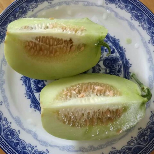 Xiangbin Japanese Sweet Treasure Melon Seeds Extra Large Authentic Spring Season Fruit Seeds Super Sweet Watermelon Muskmelon Seeds Japanese Sweet Treasure Seeds 100 original x2 packs