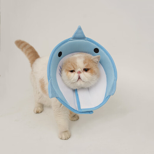 Ycqpet Elizabeth Circle Cat Pet Headgear Anti-licking Neck Collar Anti-Bite Neutered Dog Soft Shame Circle Muppet Blue M