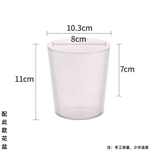 Taixisi small-leaf red nan green plant potted hydroponic plants are easy to grow living room green plant ornaments + Guangtide water-absorbing basin, straight from the source