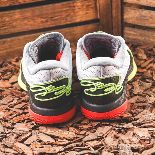 耐克（NIKE）Lebron22LBJ22詹姆斯勒布朗22篮球鞋FZ1095-101 FZ1098-100 40.5