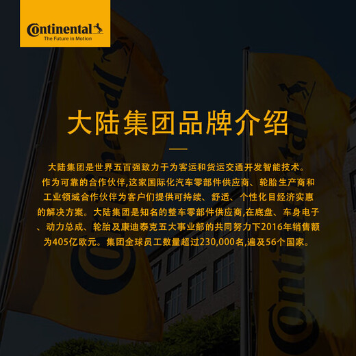 德国马牌（Continental）发动机正时链条TC1047K1-5适配迈腾1.8T/2.0T/EA888(5件套）