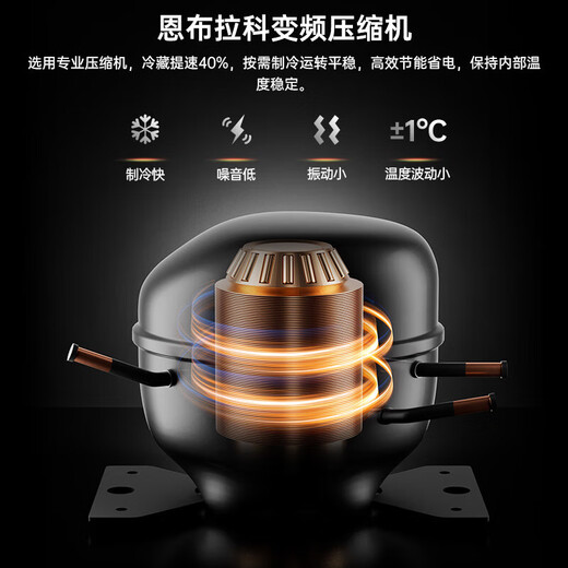 Qielong 808W red wine cabinet double-door constant temperature moisturizing ultra-thin embedded air-cooled frost-free compressor wine cabinet office home liquor and wine refrigerated display 808W rose gold + beech shelf + stainless steel cabinet