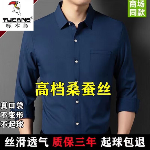 啄木鸟抗皱100桑蚕丝衬衫长袖男2025春秋季薄款弹力真丝免烫衬衣男 孔蓝9901 配色纽扣版 L 170【100-120斤】