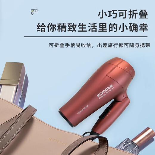 飞科电吹风机家用大功率负离子护发可折叠大风速干静音学生便携吹风筒 FH6218-2000W大功率 负离子