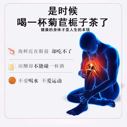通用菊苣栀子片黄太阳菊苣栀子茶葛根桑叶茯苓茶青钱柳组合真材实料养 1罐 1mg 原料装15包【体验装】