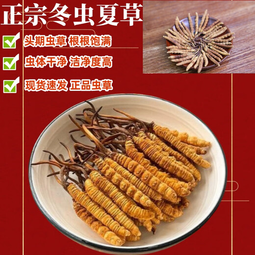 
Authentic Cordyceps sinensis first period selected nourishing dry goods two gram one gram gift box gift nutritious Cordyceps tonic products two gram one gram 50 gram authentic Cordyceps sinensis