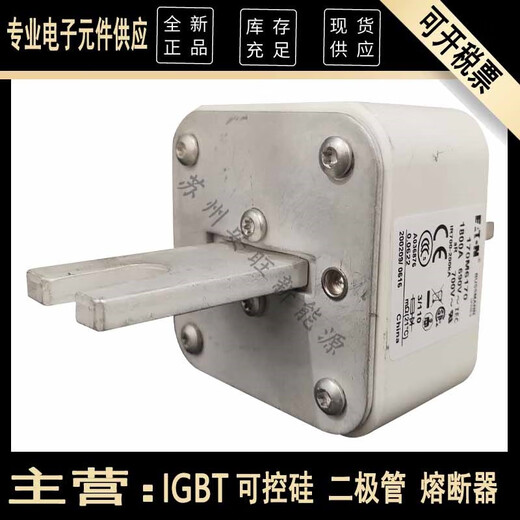 CNOBLE170M6169 170M6170 170M6171全新伊顿巴斯曼Bussmann熔断器现货 更多型号请咨询客服