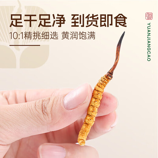 源江草冬虫夏草 新干虫草滋补品送父母长辈滋高端礼盒 2根/g 20克【滋补礼盒】