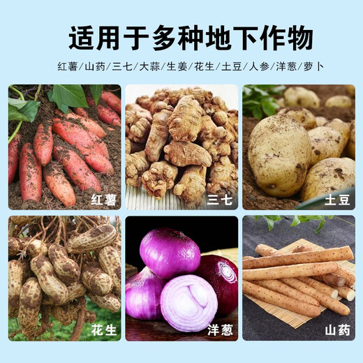 Underground rhizome expansion hormone, sweet potato, Chinese medicinal materials, yams, potatoes, peanuts, garlic, special tubers to increase production, fertilization, root and tuber expansion hormone, 12 bags*12kg