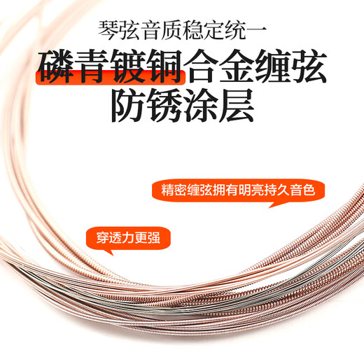 ALICE 6 1-Sace A206 Folk Song Set One-Hyun Single String Full Set Accessoires Holz Gitarren-String One-Sace (A206)