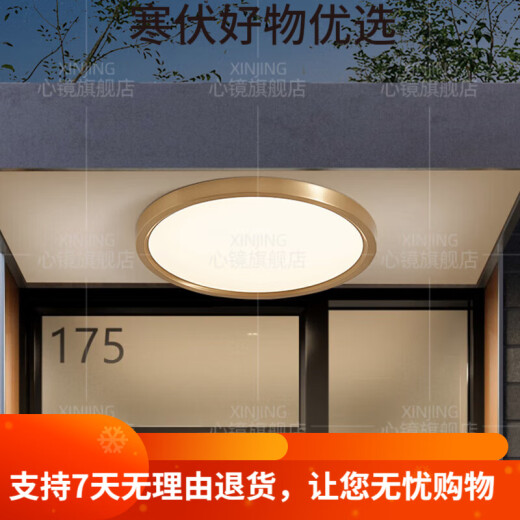 CLCEY全铜户外吸顶灯别墅大门口门前灯室外过道阳台灯防蚊虫庭 X3895-4 X3893-800/方形