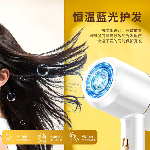 Yier Hair Dryer Home Male and Female Student Dormitory Hair Dryer Blue Light Negative Ion Constant Temperature Hair Care Large and Small Power Portable 800W Fashion White 800W (Special for Family and School Dormitories)