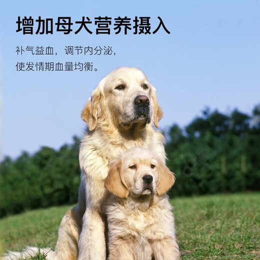 OIMG Fertility Bao for Dogs, Special Nutrient Premix for Female Dogs to Promote Estrus and Ovulation, Female Dog Fertility Bao, 5 barrels of mix (free mix, please note when placing an order)