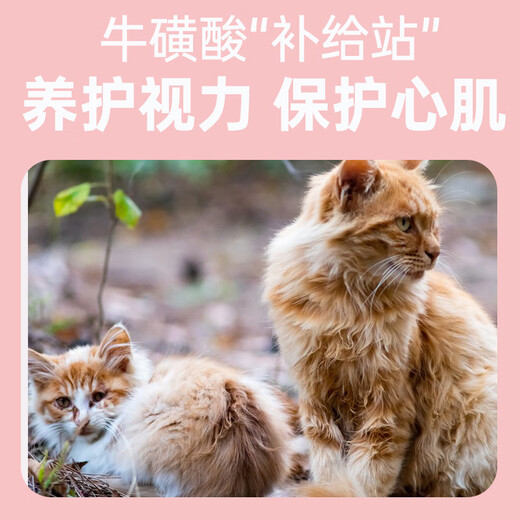 Baichan OIMG Bizi Manor No. 6 20 Jin Jin equal to 0.5 kg stray cat rescue cat food full price adult cat food 4kg