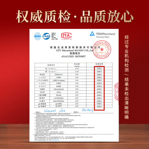 冬海红藏红花礼盒16克 送老师礼物送妈妈礼物优级西红花番红花茶礼品
