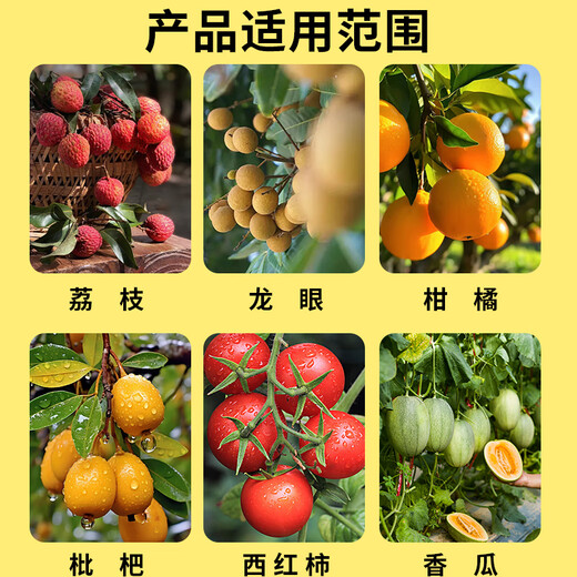 Special flower-stimulating hormone for flowers and flowers to promote flower bud differentiation, flowering and pollination. Lychee, longan and loquat foliar fertilizer. Powerful flower-inducing hormone. 2 bottles (200g each)