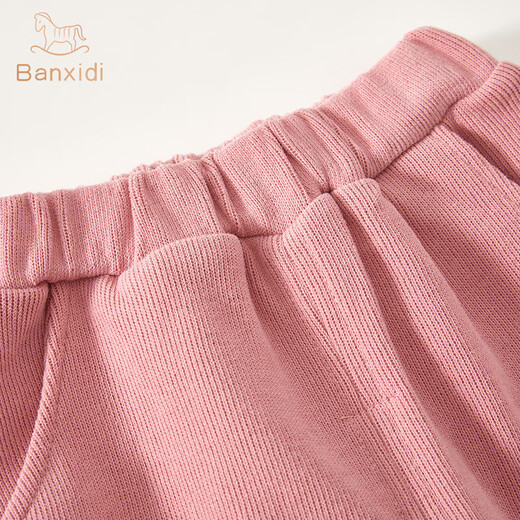 Banxidi Girls Set Autumn Clothing 2025 New Fashionable Baby Sweatshirt Children's Pants Spring and Autumn Children's Clothing Two-Piece Set