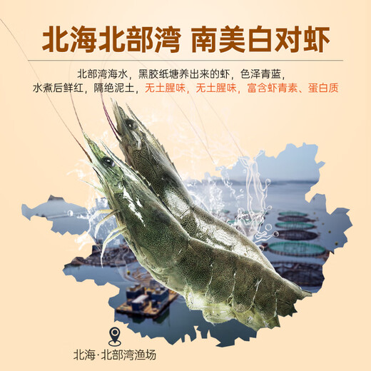 玖嘉久爆浆海鸭蛋鲜虾丸145g火锅食材关东煮麻辣烫手工丸子部队火锅丸料 爆浆海鸭蛋虾丸*5包【725g】
