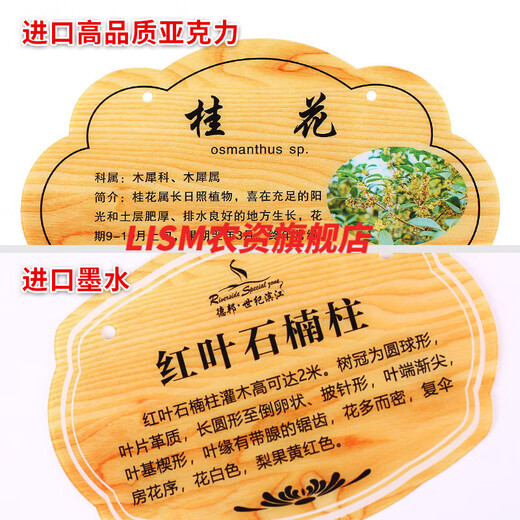 Han Chang Flower Brand Customized Acrylic Tree Brand Customized Plant Signage Tree