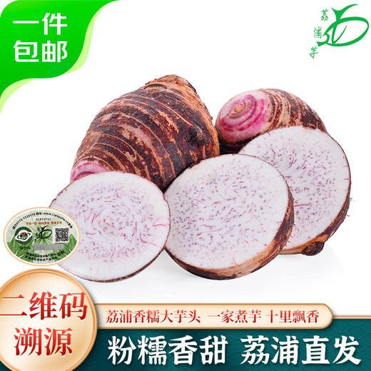 Jingxiansheng Guangxi Lipu Taro 2.8Jin Jin is equal to 0.5kg 2-3 pcs fresh vegetable taro and taro, traceable and straight from the source