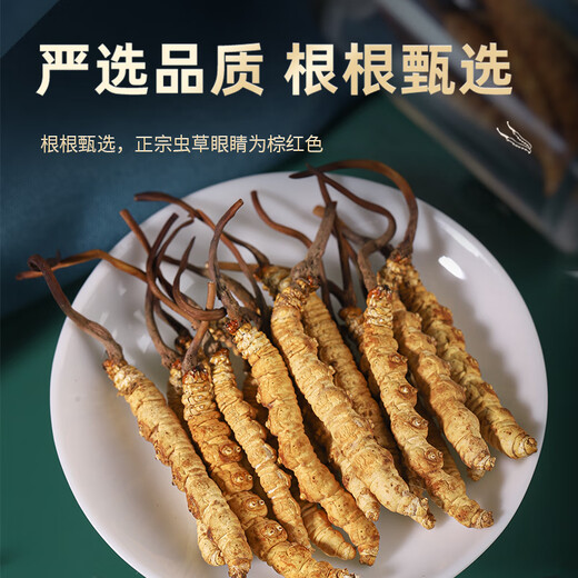 聚和泰冬虫夏草高端礼盒30根/10g国庆中秋节日送父母长辈健康滋补营养品