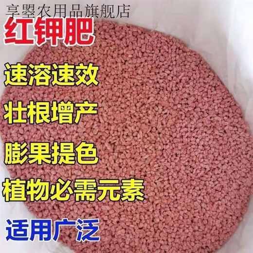 Potash fertilizer wholesale Russian imported high-potassium high-efficiency fertilizer universal instant fertilizer for agricultural flowers, fruit trees and vegetables red granular potash fertilizer 50Jin Jin equal to 0.5kg