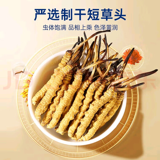 Cordyceps sinensis (SF Express Direct Delivery) Tibetano a gran altitud Cordyceps sinensis Regalo de regalo Atmosférico y de alta gama Nago Cordyceps sinensis 0.6 gramos de 100 piezas Pack 5 piezas