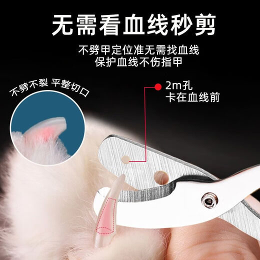 Cat nail scissors, special anti-scratch nail scissors, nail clippers for cats, rabbits, pet dogs, used from childhood to adulthood - double-hole orange nail polisher