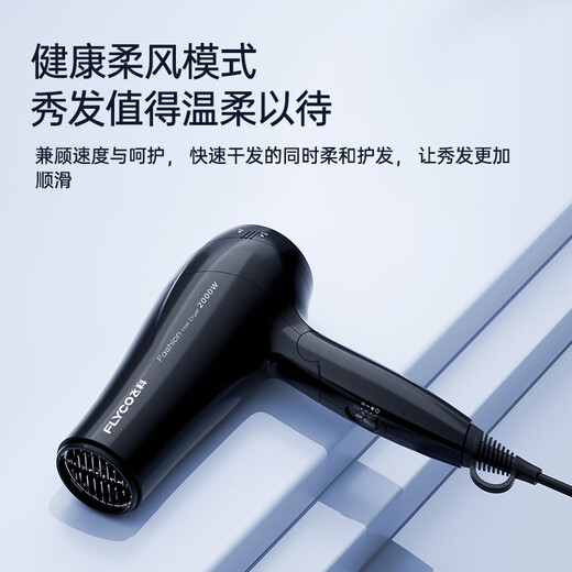 Secador de pelo de flyco para el hogar Aire caliente y fría cuidado de aire frío para el cabello seco de secado rápido 2000W Alta potencia FH6231