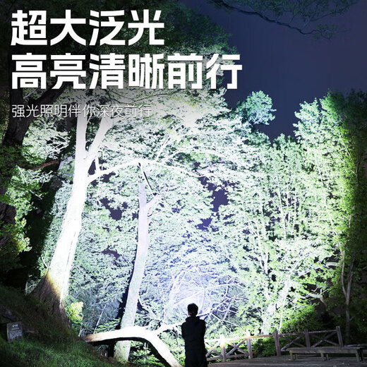 OQD头灯强光超长续航2024新款公牛超亮充电头戴式户外变焦远射夜钓鱼 无感应9900w 待机续航100小时 内
