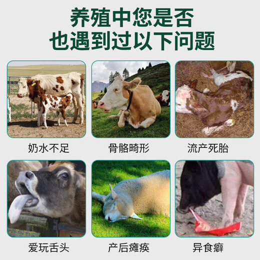 Cattle and sheep high calcium multi-dimensional veterinary feed for chickens calcium supplement duck and goose high calcium shell powder feed additive for poultry and pigs Cattle and sheep high calcium multi-dimensional 10 bags/1kg