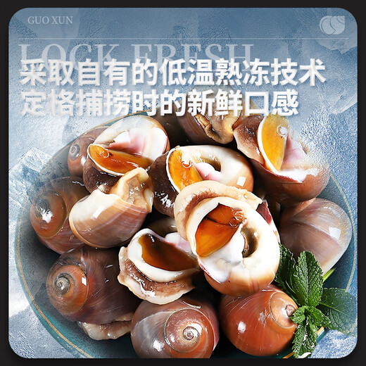 Guoxun extra large cat's eye snail (no ice, no sand) net weight 3Jin Jin is equal to 0.5kg, cooked frozen conch conch screws 13-14 heads/Jin Jin is equal to 0.5kg