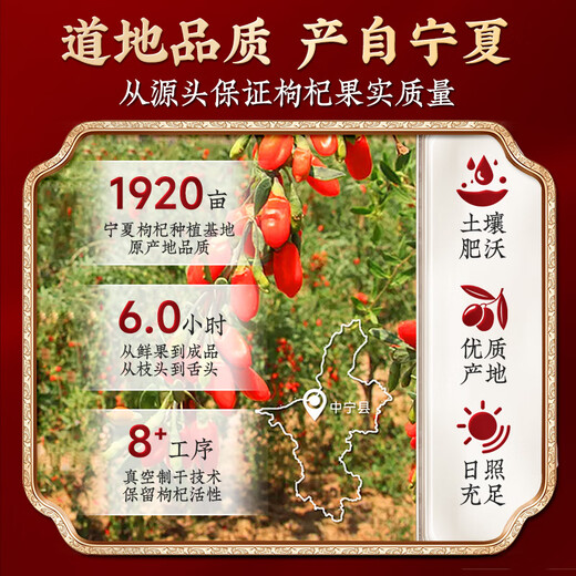 Tongrentang wolfberry 500g Ningxia special authentic origin new product 100 original tea soup Pangchun Donggenglai