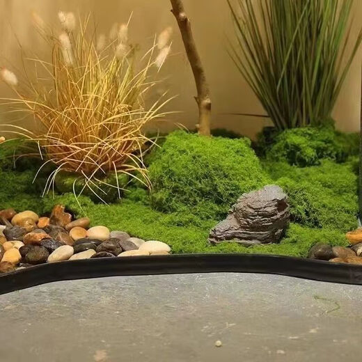 Simulated filamentous moss green micro landscape layout fake lawn fish tank landscaping rockery stone bonsai landscaping pavement light yellow green 70g free 40g