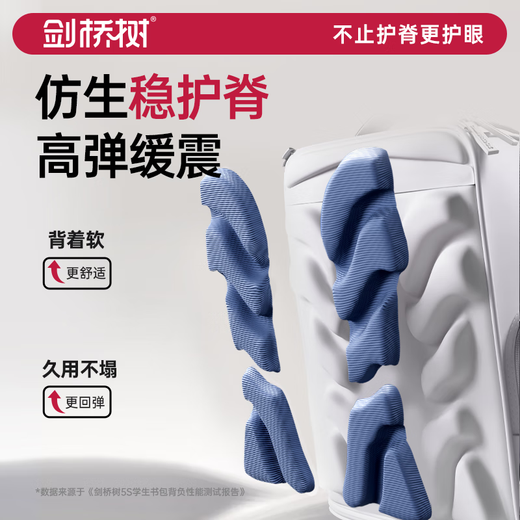 剑桥树书包小学生男孩儿童护脊减负1-3-6年级轻便大容量防水透气双肩包 贵族A款:藏青红小码