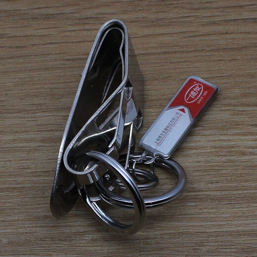 Boyou Stainless Steel Men's Waist Hanging Car Keychain Creative Double Ring Home Keychain Simple Metal Keychain Pendant