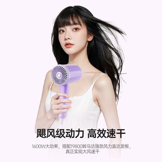 Kangfu hair dryer household negative ion high power hot and cold wind strong wind quick drying hair dryer hair dryer for boys and girls travel dormitory KF-3158 1600W Purple