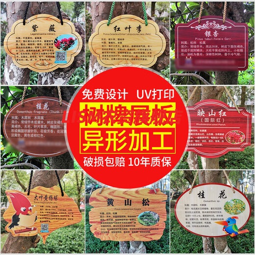Han Chang Flower Brand Customized Acrylic Tree Brand Customized Plant Signage Tree