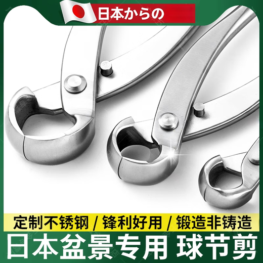 Hongzhijing selects Japanese bonsai ball joint shears, ball shears, pruning shears, gardening tools, oblique fork branch shears, branch shears, leaf buds and tree tumor shears, Chenggong medium stainless steel ball joint shears, card packaging