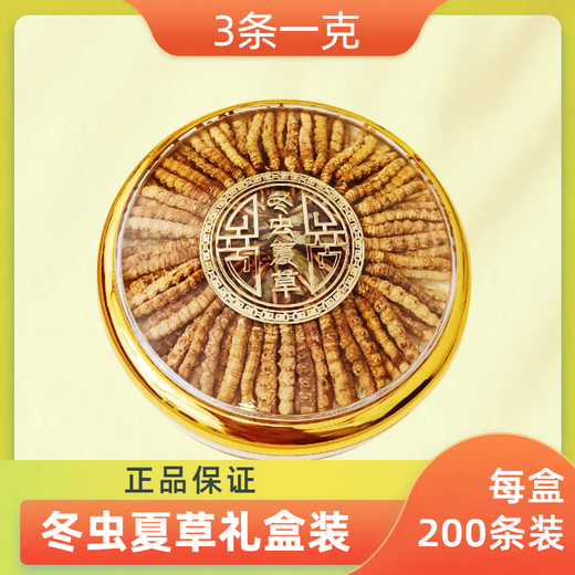 Premium Cordyceps sinensis 200/100/50/30 gift boxes for elders 0.5 grams each premium Cordyceps sinensis 0.5 grams each premium Cordyceps sinensis Nagqu, Tibet 30