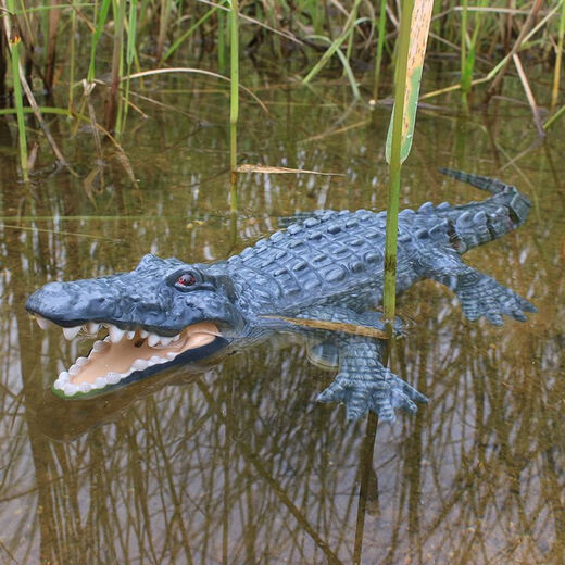 Bionic remote control crocodile water reptile electric boat charging speed boat summer outdoor children's toy black technology remote control manta ray standard +2 batteries
