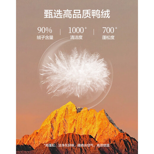 Demana 90 velvet elegant and light down winter new loose diamond pattern simple plus velvet thickened short down jacket for women