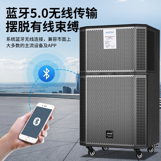 Amoi square dance audio outdoor karaoke lever mobile Bluetooth speaker live broadcast home 12-inch three-way subwoofer amplifier with microphone 15-inch six-way 17 speakers (dual wireless microphones)