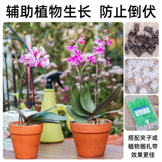 爬藤固定捆绑杆金钱树支撑杆室内瓜果花卉植物园艺花架花盆支架杆 10支4mm绿色60cm长 送10套帽