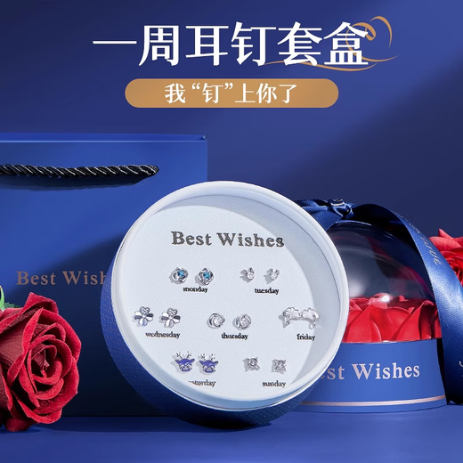 Baileys Weekly Earrings and Earrings Set 925 Silver Needle Christmas Birthday Gift Earrings Drop for Girlfriend and Wife Missing Earrings Fast Arrival