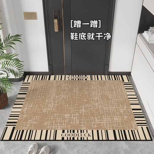 客厅门口入户地垫好打理的垫子高端进门脚垫防滑门垫耐脏玄关厨房 TPR-3892 200cm*300cm