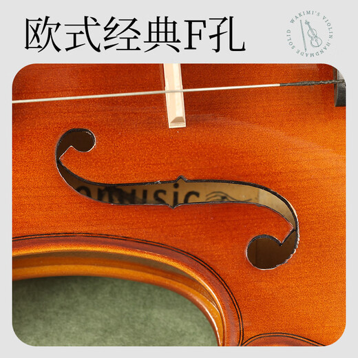 romusic小提琴学生儿童初学者手工专业考级练习1/4实木亮光提琴RV-101L