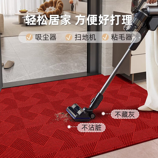 云皎进门地垫入户门垫高级感轻奢新款门2025红色垫子门口耐脏免洗门外 卡特-15618 100x140cm